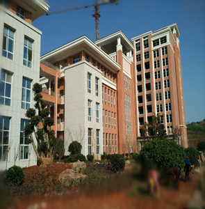 备用发电机组DPF项目